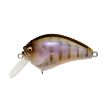 Load image into Gallery viewer, IxI Blowly