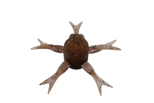 Load image into Gallery viewer, Jimmy Henge 42