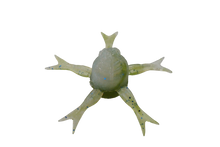 Load image into Gallery viewer, Jimmy Henge 42