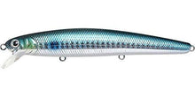 Load image into Gallery viewer, Flash Minnow 110SP