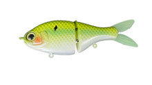 Load image into Gallery viewer, Junior Shad