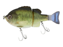 Load image into Gallery viewer, Tiny Bullshooter Shudder Tail