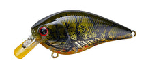 Load image into Gallery viewer, LC DRS Crankbaits