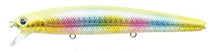 Load image into Gallery viewer, Flash Minnow 110SP