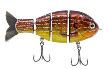 Load image into Gallery viewer, Baby Bull Gill