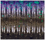 Load image into Gallery viewer, Oki Worm