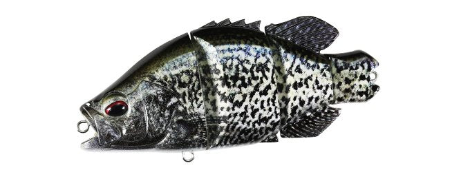 Snappy Crappie – The Hook Up Tackle