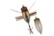 Load image into Gallery viewer, Shinmushi