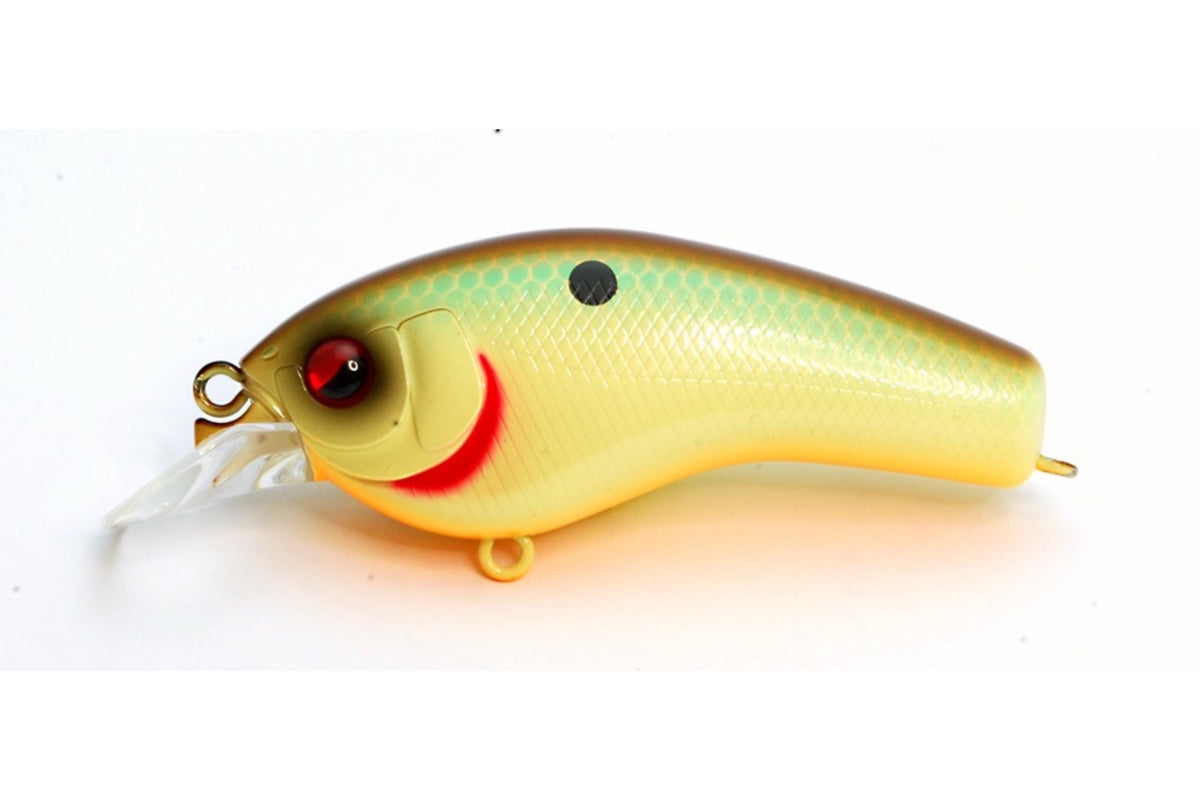 cream fishing lures SKM Crank – The Hook Up Tackle
