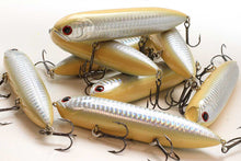 Load image into Gallery viewer, Sammy 108