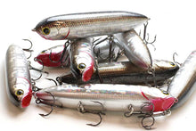 Load image into Gallery viewer, Sammy 108