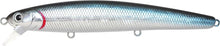 Load image into Gallery viewer, Flash Minnow 110SP