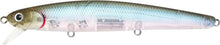 Load image into Gallery viewer, Flash Minnow 110SP