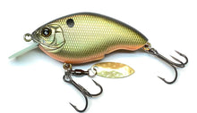 Load image into Gallery viewer, Baby Chippawa RB Blade