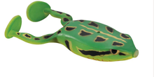 Load image into Gallery viewer, Flappin Frog