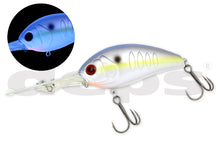 Load image into Gallery viewer, Korrigan Break 800