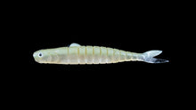 Load image into Gallery viewer, Volup Minnow 5 inch