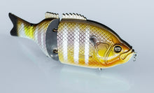 Load image into Gallery viewer, Explorer Gill 6