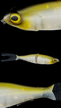 Load image into Gallery viewer, Chimera Shad 12