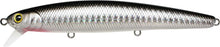 Load image into Gallery viewer, Flash Minnow 110SP