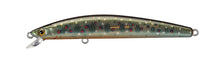 Load image into Gallery viewer, TD Minnow
