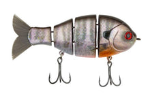 Load image into Gallery viewer, Baby Bull Gill