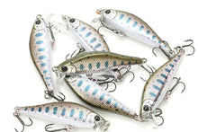 Load image into Gallery viewer, Pointer 48 Sinking