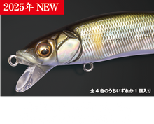 Load image into Gallery viewer, 2025 Lucky Tackle Bag