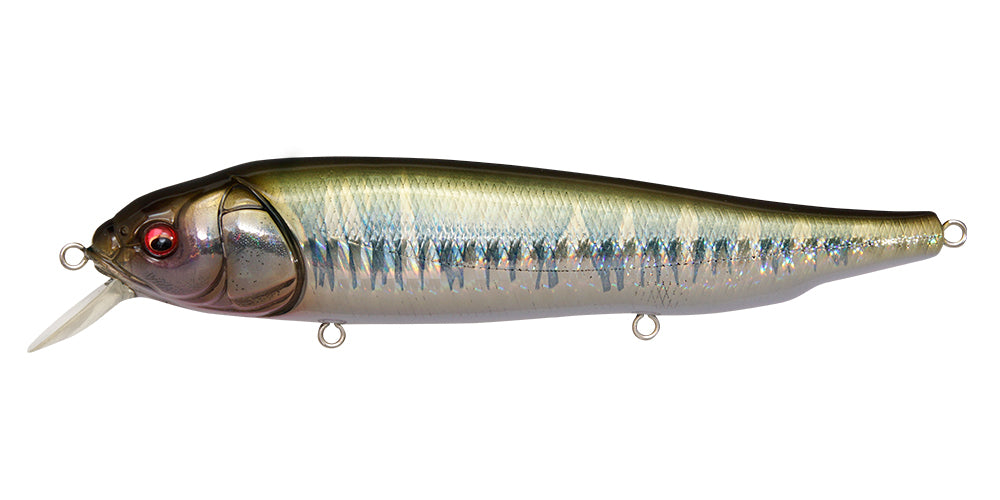 Lates Feeding Woofer – The Hook Up Tackle