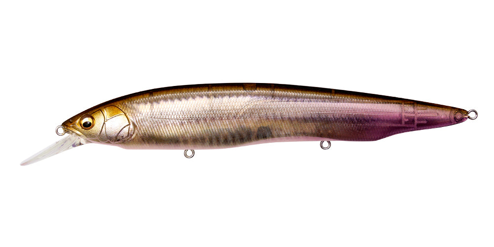 Kanata+1 – The Hook Up Tackle