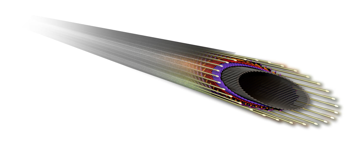 ロッド ZERO G EVOLUTION802Venurs L.M Slowtaper Evoluzion – The Hook Up Tackle