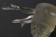 Load image into Gallery viewer, Jimmy Henge 42