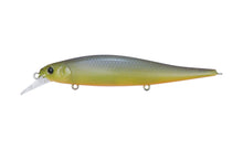 Load image into Gallery viewer, Flanjer