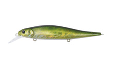 Load image into Gallery viewer, Flanjer