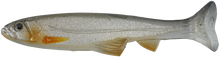 Load image into Gallery viewer, Huddle Swimmer