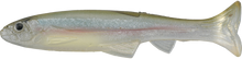 Load image into Gallery viewer, Huddle Swimmer