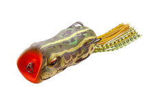Load image into Gallery viewer, Diving Frog