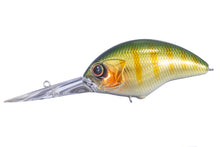 Load image into Gallery viewer, Blitz Max Plus DR