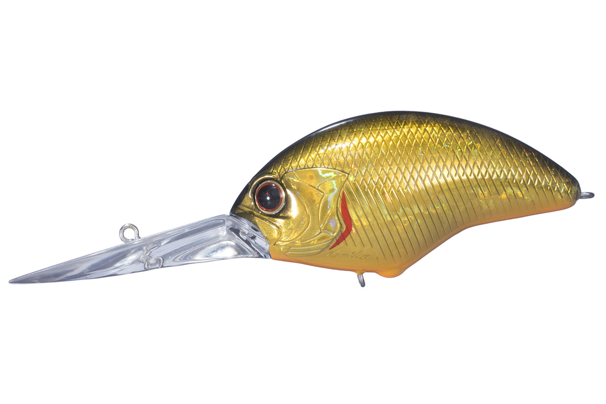 Blitz Max Plus DR – The Hook Up Tackle