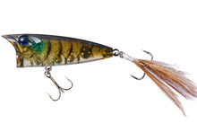 Load image into Gallery viewer, Louder