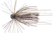 Load image into Gallery viewer, Kosmo