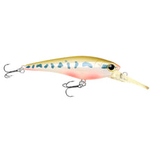 Load image into Gallery viewer, Bevy Shad 75