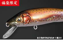 Load image into Gallery viewer, 2025 Lucky Tackle Bag