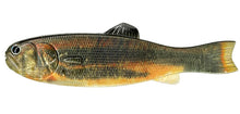 Load image into Gallery viewer, Bass Worm 145