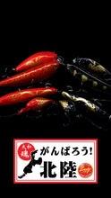 Load image into Gallery viewer, GANBARE HOKURIKU Fundraising Collection