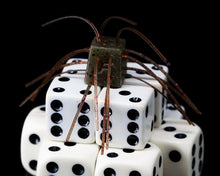 Load image into Gallery viewer, Dice Rubber