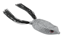 Load image into Gallery viewer, Bronzeye Frog