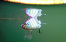 Load image into Gallery viewer, Vero 120F