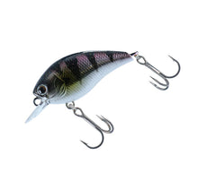 Load image into Gallery viewer, Steez Square 100