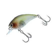 Load image into Gallery viewer, Steez Square 100